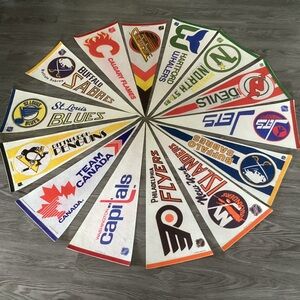 Collection of 14 Vintage Felt NHL Pennants